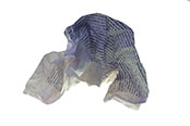 Jocelyne Thibault_maquette livre